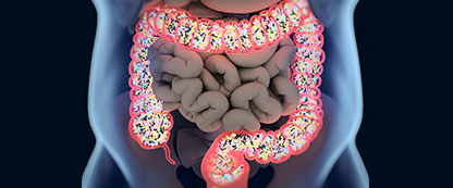 Actualización Microbiota intestinal: la frontera entre los nutrientes y la salud humana Actualización Microbiota intestinal: la frontera entre los nutrientes y la salud humana